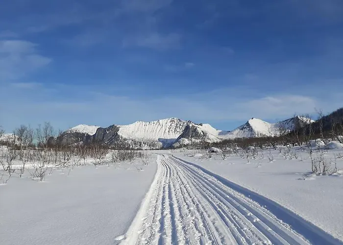 Norwegian House Maria Stua * Mefjordvær