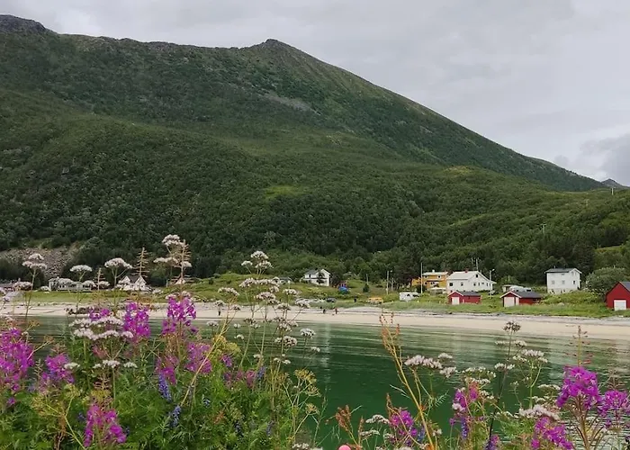 Norwegian House Maria Stua