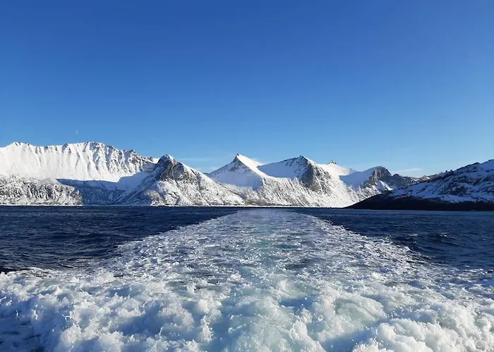 Norwegian House Maria Stua Appartement Mefjordvær
