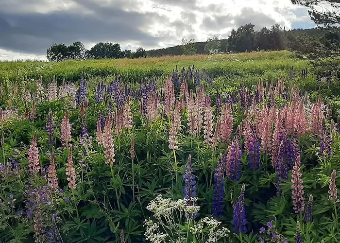 Norwegian House Maria Stua Lägenhet Mefjordvær